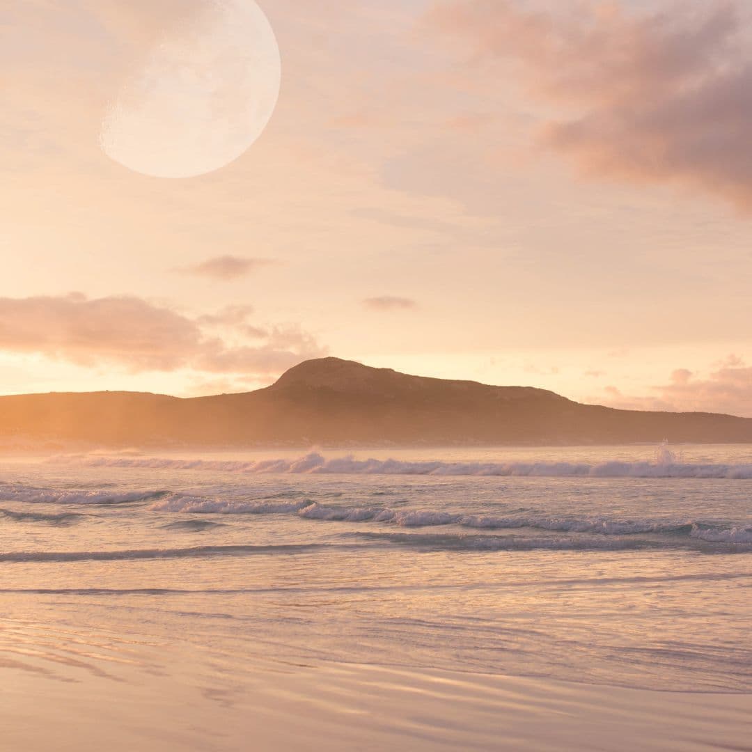 A moon rising over a quiet shoreline